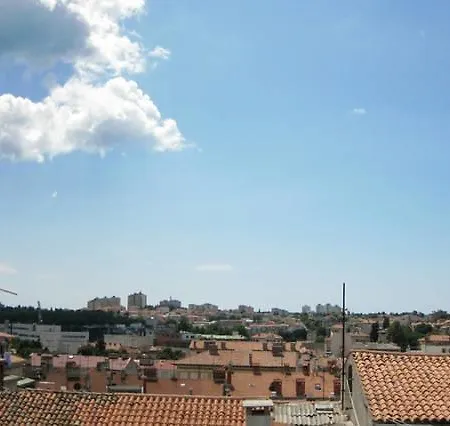 Zadarska Pola